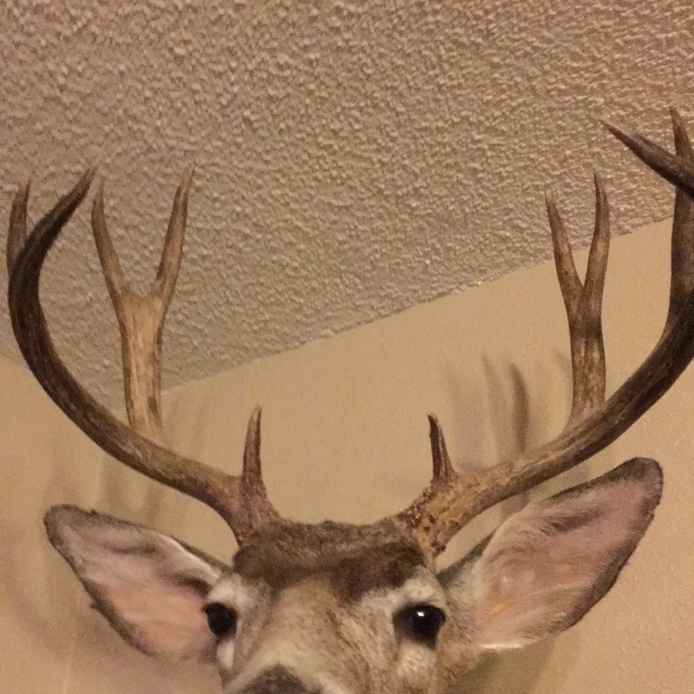 Meet your Posher, Chance